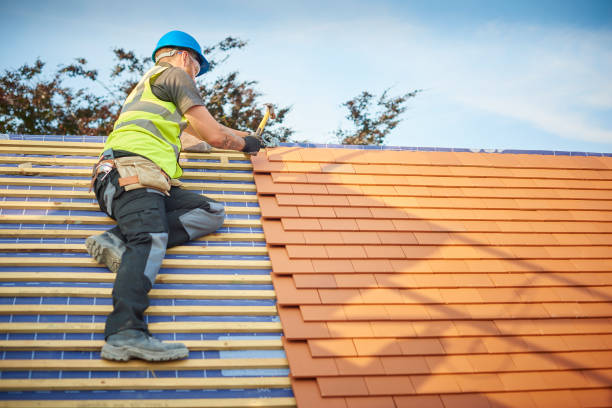 Best Metal Roofing Installation  in Red Bank, SC